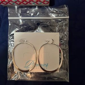 Premier Designs 31068 Confidence earrings